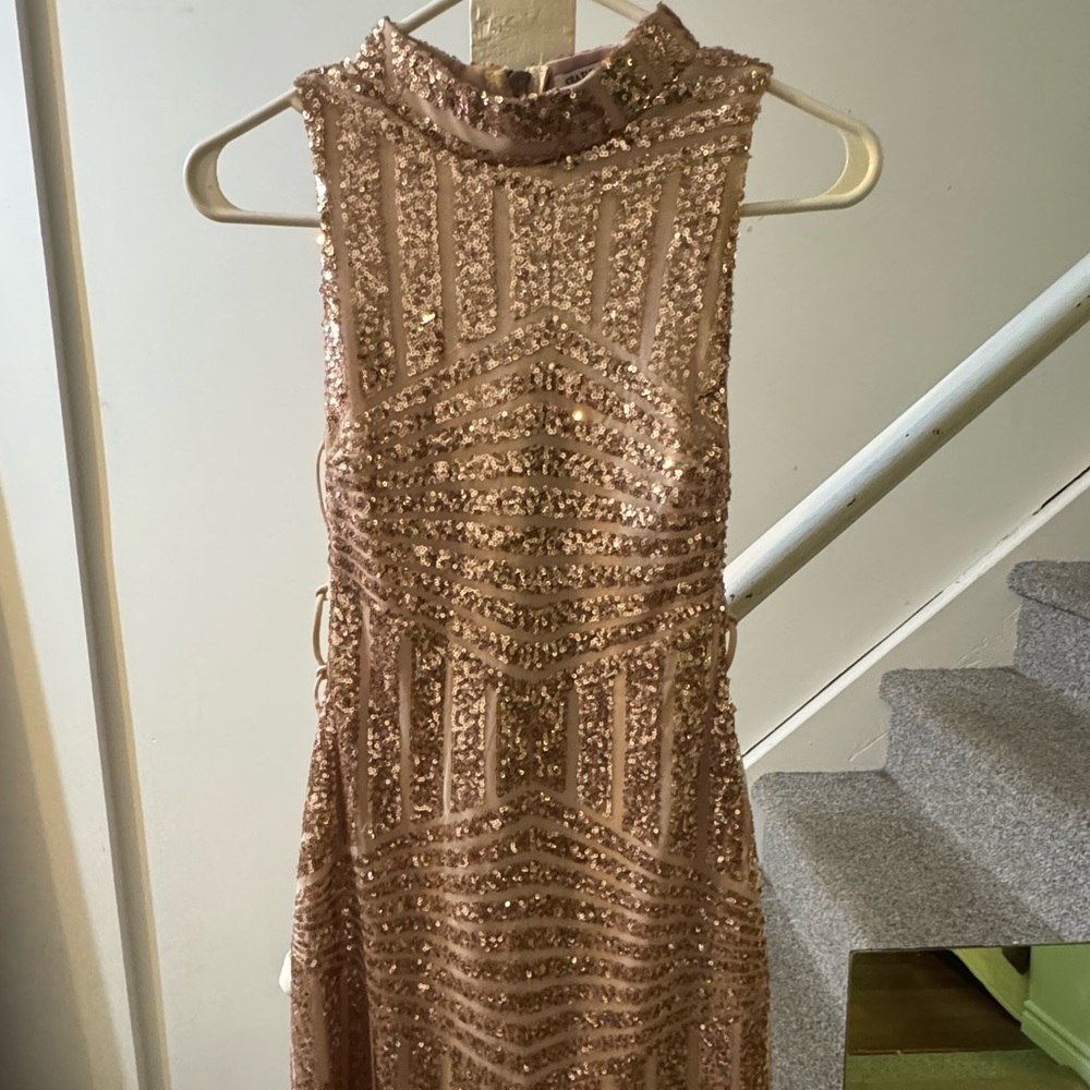 Pink and Gold Sequin Embellished Sheath Dress